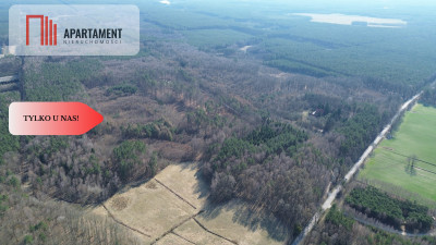 Działka rekreacyjno - turystyczna 7900 m2 - powiat starogardzki  -
Pomorskie Zdjęcie nr 6