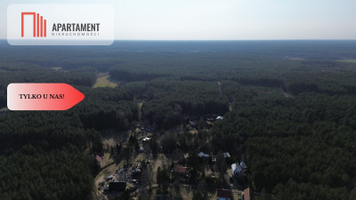 Działka rekreacyjno - turystyczna 7900 m2 - powiat starogardzki  -
Pomorskie Zdjęcie nr 7