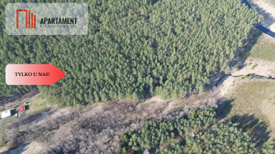 Działka rekreacyjno - turystyczna 7900 m2 - powiat starogardzki  -
Pomorskie Zdjęcie nr 8