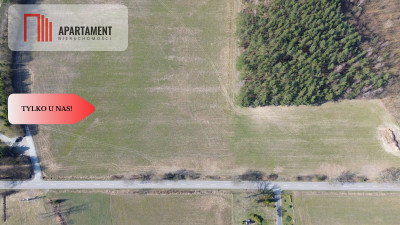 Działka budowlana  8700m2 WDA - powiat starogardzki  -
Pomorskie Zdjęcie nr 4
