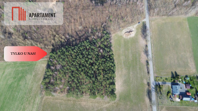 Działka budowlana  8700m2 WDA - powiat starogardzki  -
Pomorskie Zdjęcie nr 7