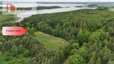 Działka z linią brzegową  Mazury media WZ - powiat iławski  -
Warmińsko-Mazurskie Zdjęcie nr 3