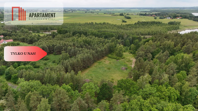 Działka z linią brzegową  Mazury media WZ - powiat iławski  -
Warmińsko-Mazurskie Zdjęcie nr 7