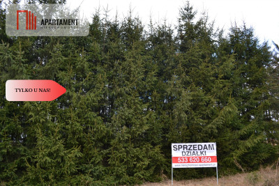 Tylko u nasDziałki w górach z warunkami zabudowy - powiat kłodzki  -
Dolnośląskie Zdjęcie nr 9
