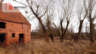 100 metrów do jeziora - powiat bydgoski  -
Kujawsko-Pomorskie Zdjęcie nr 5