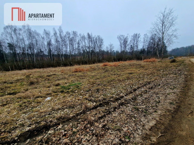 Nad jeziorem przy lesie - powiat kartuski  -
Pomorskie Zdjęcie nr 2