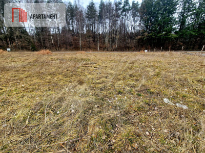 Nad jeziorem przy lesie - powiat kartuski  -
Pomorskie Zdjęcie nr 5