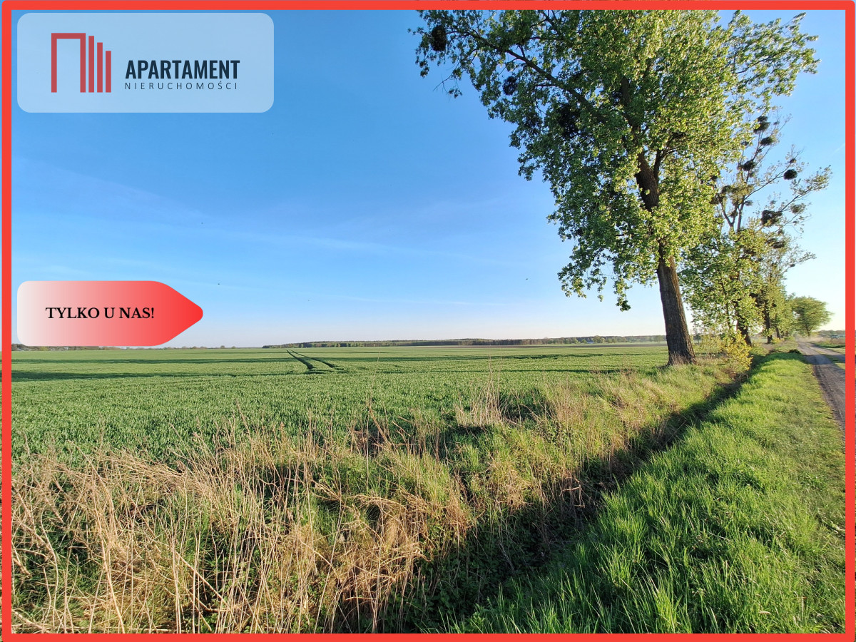 Działka w atrakcyjnej cenie - powiat obornicki  -
Wielkopolskie Zdjęcie nr 1