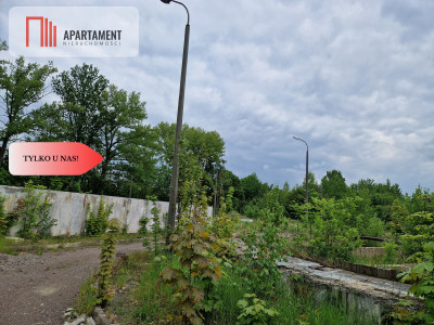 Powierzchnia 75ha usługowo -handlowa z budynkami - powiat prudnicki  -
Opolskie Zdjęcie nr 5