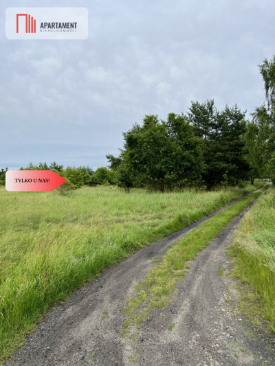 BEZ PCC Działki Budowlane Lubiąż FV MPZP - powiat wołowski  -
Dolnośląskie Zdjęcie nr 5