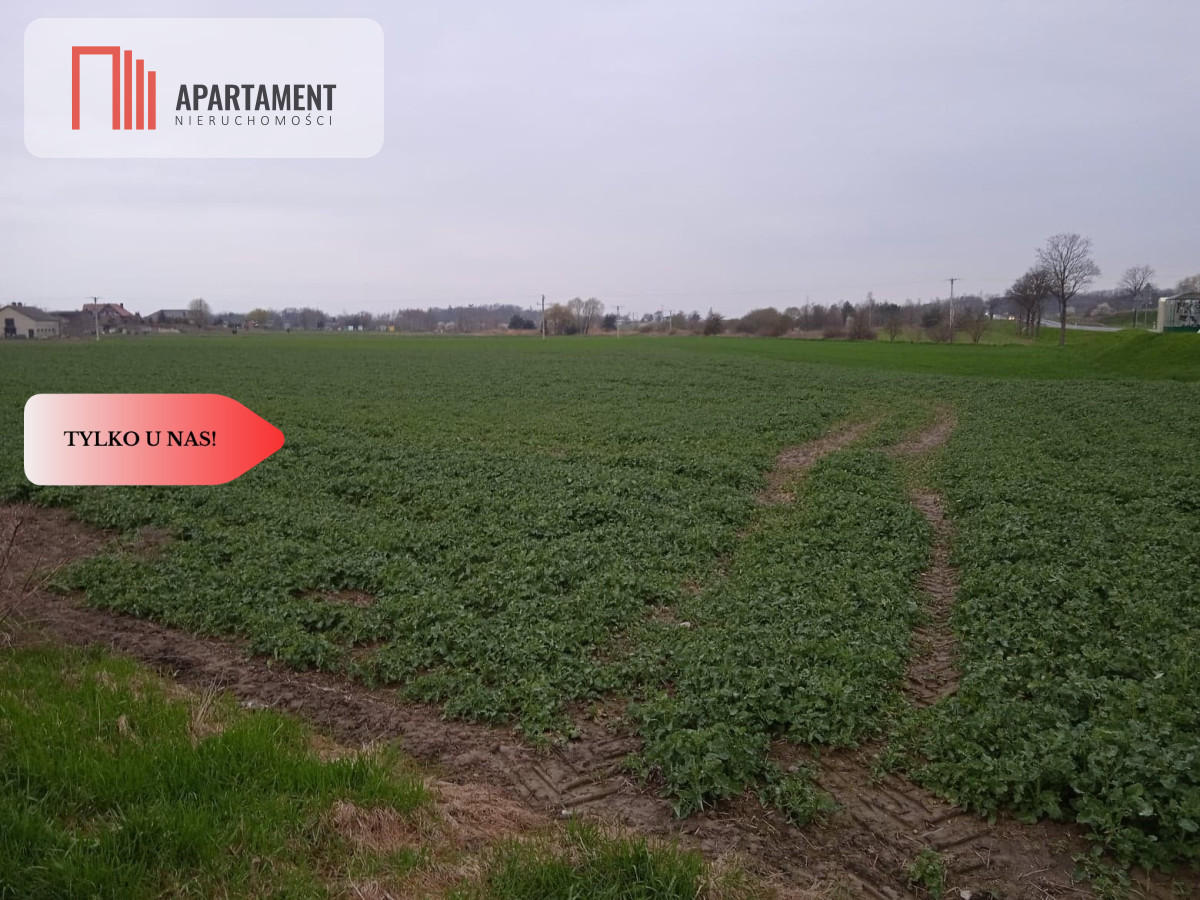 Działki120 złm2Wilczków - powiat średzki  -
Dolnośląskie Zdjęcie nr 1