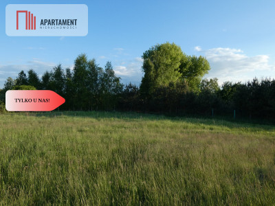 Działka nad jeziorem Zioło - Tylko u nas - Rogowo  -
Kujawsko-Pomorskie Zdjęcie nr 10