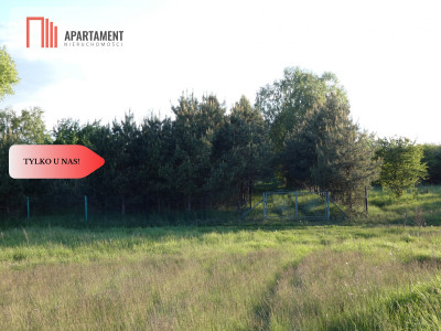 Działka nad jeziorem Zioło - Tylko u nas - Rogowo  -
Kujawsko-Pomorskie Zdjęcie nr 11