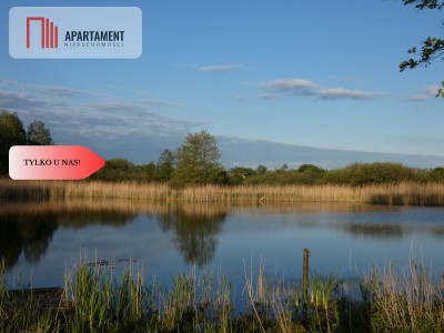 Działka nad jeziorem Zioło - Tylko u nas - Rogowo  -
Kujawsko-Pomorskie Zdjęcie nr 14