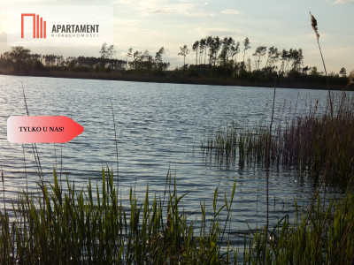 Działka nad jeziorem Zioło - Tylko u nas - Rogowo  -
Kujawsko-Pomorskie Zdjęcie nr 3