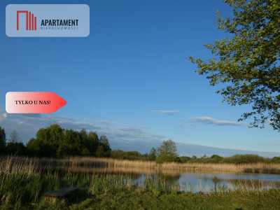 Działka nad jeziorem Zioło - Tylko u nas - Rogowo  -
Kujawsko-Pomorskie Zdjęcie nr 6