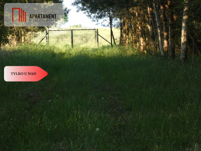 Działka nad jeziorem Zioło - Tylko u nas - Rogowo  -
Kujawsko-Pomorskie Zdjęcie nr 7