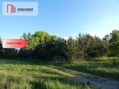 Działka nad jeziorem Zioło - Tylko u nas - Rogowo  -
Kujawsko-Pomorskie Zdjęcie nr 9