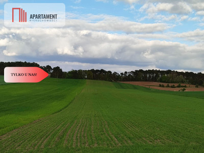  Działki w spokojnej okolicy  1300mkw Szubin - Szubin  -
Kujawsko-Pomorskie Zdjęcie nr 2