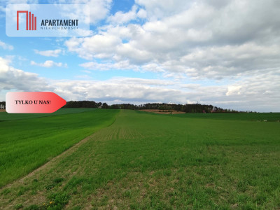  Działki w spokojnej okolicy  1300mkw Szubin - Szubin  -
Kujawsko-Pomorskie Zdjęcie nr 3