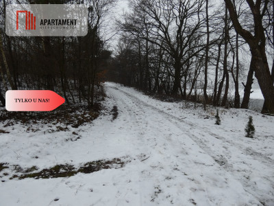 Działka z linią brzegową nad jeziorem Ostrowickim - Gaj  -
Wielkopolskie Zdjęcie nr 2