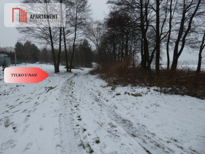 Działka z linią brzegową nad jeziorem Ostrowickim - Gaj  -
Wielkopolskie Zdjęcie nr 3