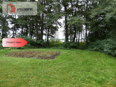 Działka z linią brzegową nad jeziorem Ostrowickim - Gaj  -
Wielkopolskie Zdjęcie nr 5