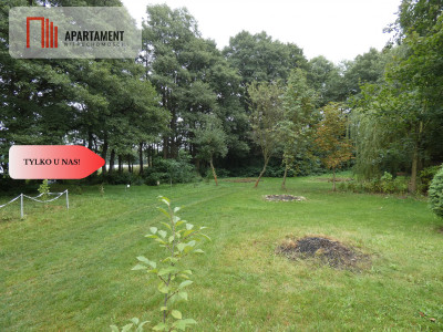 Działka z linią brzegową nad jeziorem Ostrowickim - Gaj  -
Wielkopolskie Zdjęcie nr 6