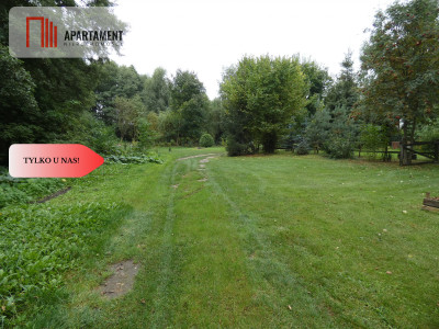 Działka z linią brzegową nad jeziorem Ostrowickim - Gaj  -
Wielkopolskie Zdjęcie nr 7