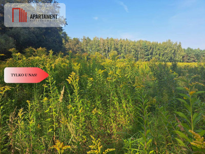 Działka 10 ar budowlana przy ścianie lasu - Klęka  -
Dolnośląskie Zdjęcie nr 10