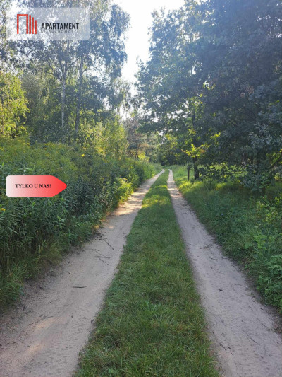 Działka 10 ar budowlana przy ścianie lasu - Klęka  -
Dolnośląskie Zdjęcie nr 2