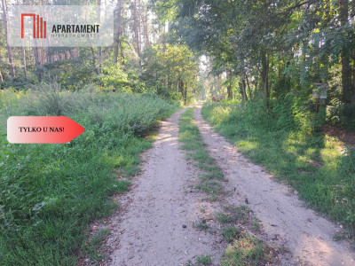 Działka 10 ar budowlana przy ścianie lasu - Klęka  -
Dolnośląskie Zdjęcie nr 4