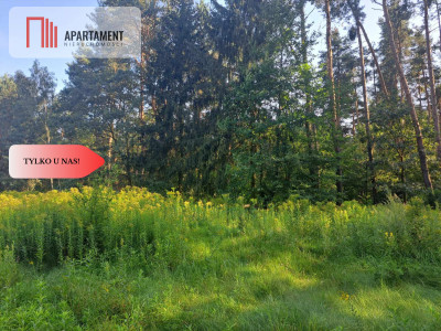 Działka 10 ar budowlana przy ścianie lasu - Klęka  -
Dolnośląskie Zdjęcie nr 5