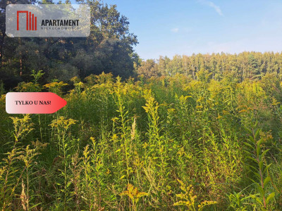 Działka 10 ar budowlana przy ścianie lasu - Klęka  -
Dolnośląskie Zdjęcie nr 9