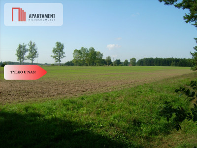 Atrakcyjna działka przy lesie - powiat sępoleński  -
Kujawsko-Pomorskie Zdjęcie nr 5