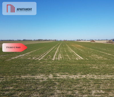 Tylko u Nas Działka w gm Dobrcz - powiat bydgoski  -
Kujawsko-Pomorskie Zdjęcie nr 5