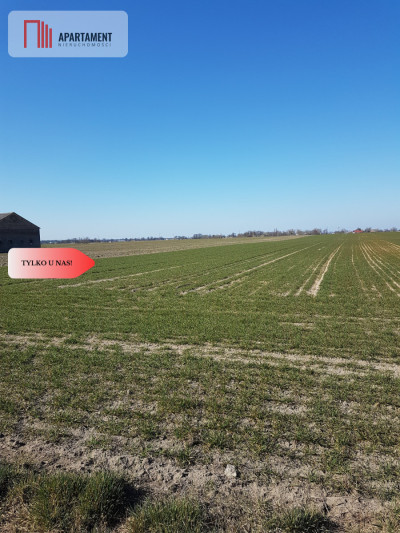 Tylko u Nas Działka w gm Dobrcz - powiat bydgoski  -
Kujawsko-Pomorskie Zdjęcie nr 6