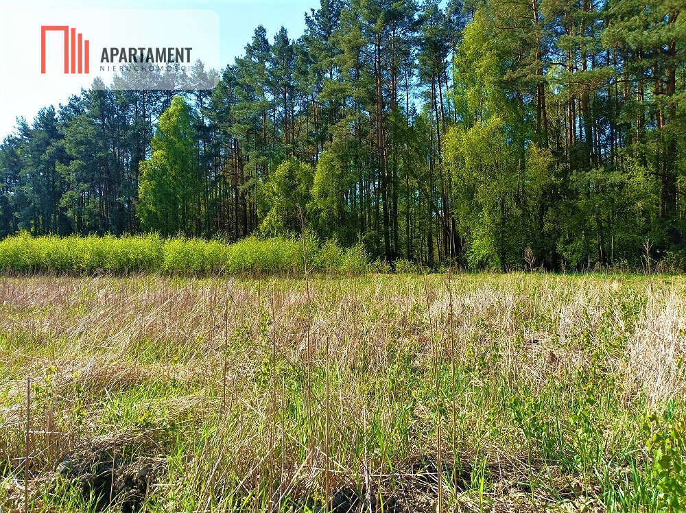 DZIAŁKA NEKLA - SUPER LOKALIZACJA ŚCIANA LASU - powiat bydgoski  -
Kujawsko-Pomorskie Zdjęcie nr 1