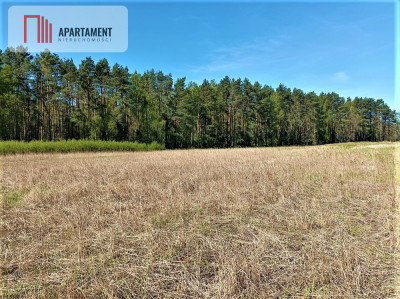 DZIAŁKA NEKLA - SUPER LOKALIZACJA ŚCIANA LASU - powiat bydgoski  -
Kujawsko-Pomorskie Zdjęcie nr 2