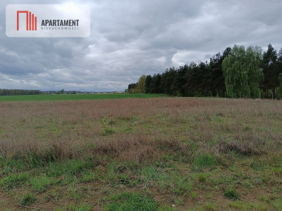 DZIAŁKA NEKLA - SUPER LOKALIZACJA ŚCIANA LASU - powiat bydgoski  -
Kujawsko-Pomorskie Zdjęcie nr 3