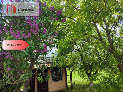 Działka usług-mieszkaniowa przy asfalcie  MEDIA - powiat nakielski  -
Kujawsko-Pomorskie Zdjęcie nr 10