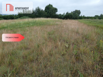 Działka przy rzece i jeziorach - Tylko u nas  - Rogowo  -
Kujawsko-Pomorskie Zdjęcie nr 13