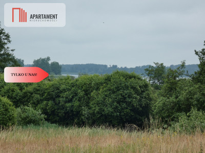 Działka przy rzece i jeziorach - Tylko u nas  - Rogowo  -
Kujawsko-Pomorskie Zdjęcie nr 3