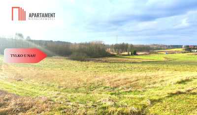 Tylko u nas Duża Działka Z Dostępem do Jeziora - Ostrowite  -
Kujawsko-Pomorskie Zdjęcie nr 3