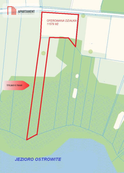 Tylko u nas Duża Działka Z Dostępem do Jeziora - Ostrowite  -
Kujawsko-Pomorskie Zdjęcie nr 5