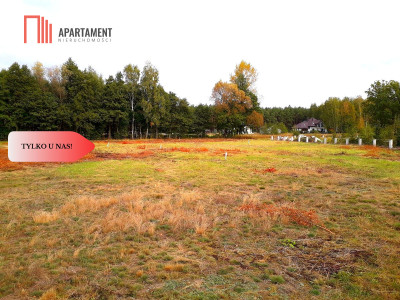 TYLKO U NAS  TOPORZYSKO 1000 m2 - LAS ICISZA - powiat toruński  -
Kujawsko-Pomorskie Zdjęcie nr 12