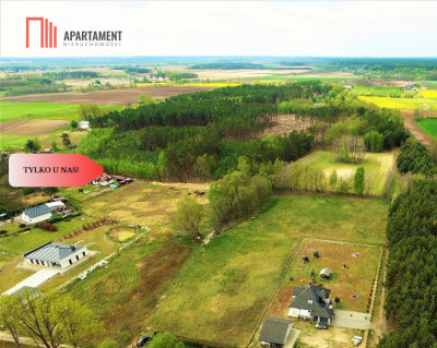 TYLKO U NAS  TOPORZYSKO 1000 m2 - LAS ICISZA - powiat toruński  -
Kujawsko-Pomorskie Zdjęcie nr 7