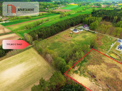 TYLKO U NAS  TOPORZYSKO 1000 m2 - LAS ICISZA - powiat toruński  -
Kujawsko-Pomorskie Zdjęcie nr 9