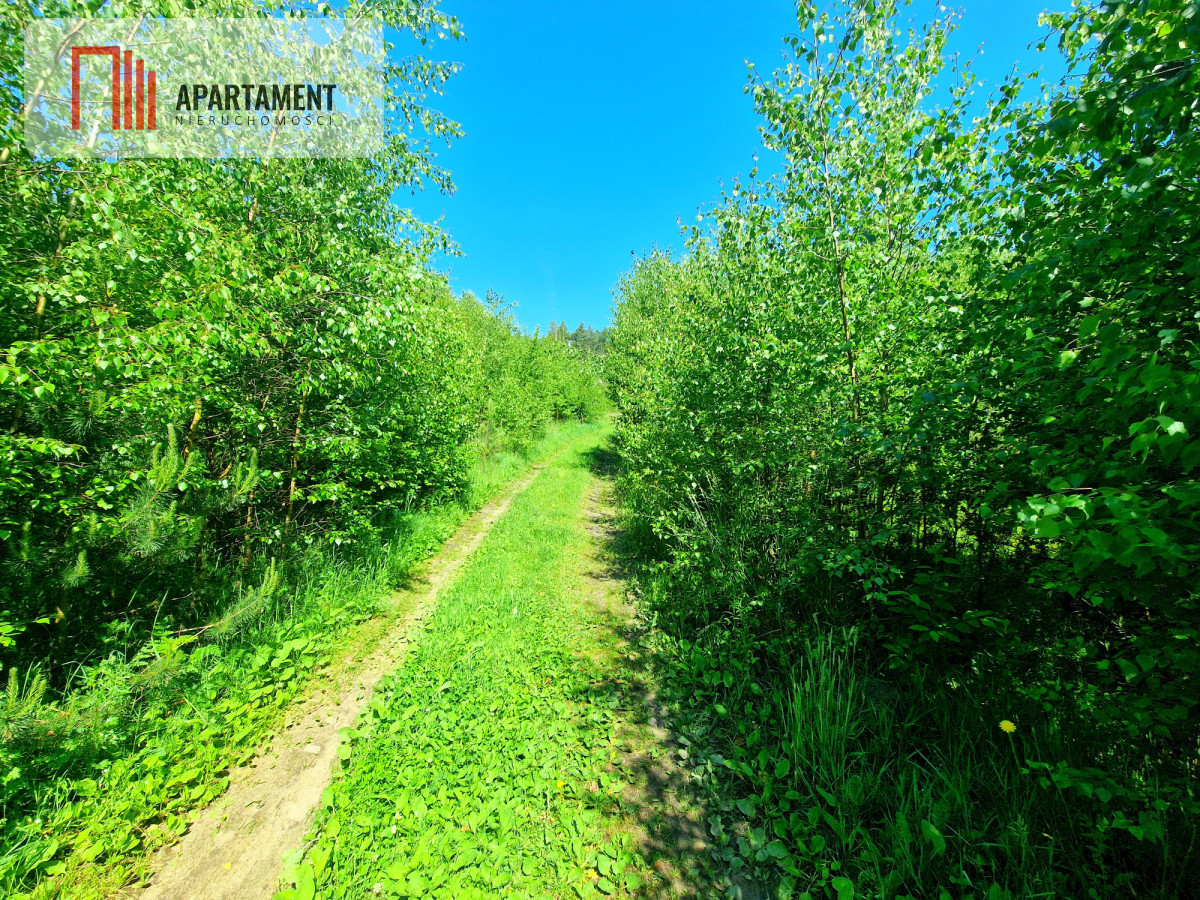 Tylko u Nas Działka wśród brzózek Piękne miejsce - powiat świecki  -
Kujawsko-Pomorskie Zdjęcie nr 1