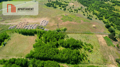 Tylko u Nas Działka wśród brzózek Piękne miejsce - powiat świecki  -
Kujawsko-Pomorskie Zdjęcie nr 12